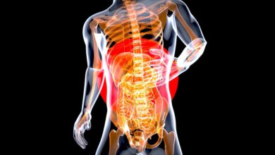 Free illustrations of Stomach